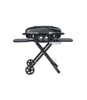 Easy Grill Portable 2 Burners Gas Grill With Cart